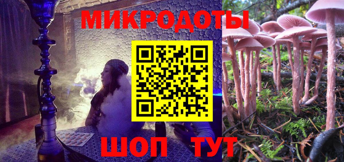 Галлюциногенные грибы Psilocybine cubensis Луховицы